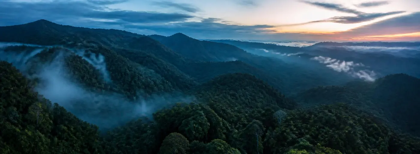 Lush forested mountains at sunrise